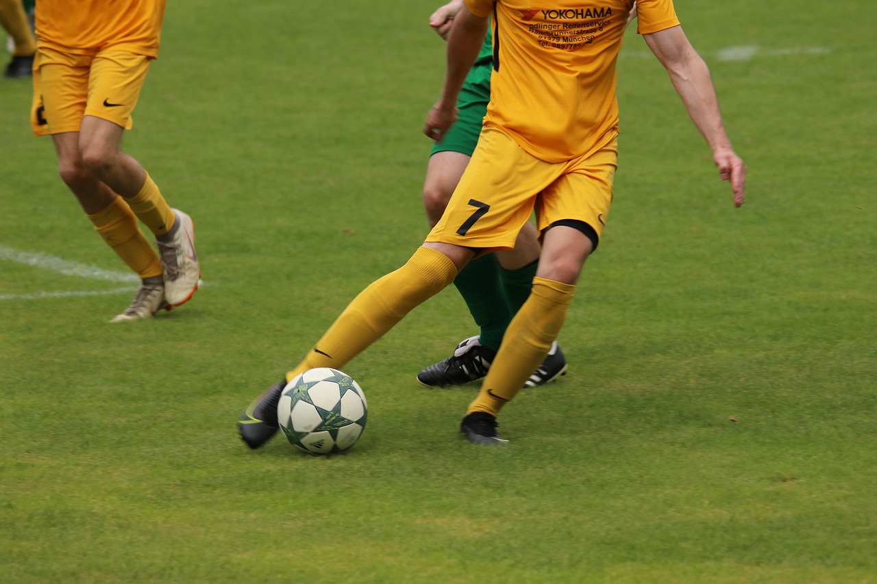 梅州客家队 梅州客家队